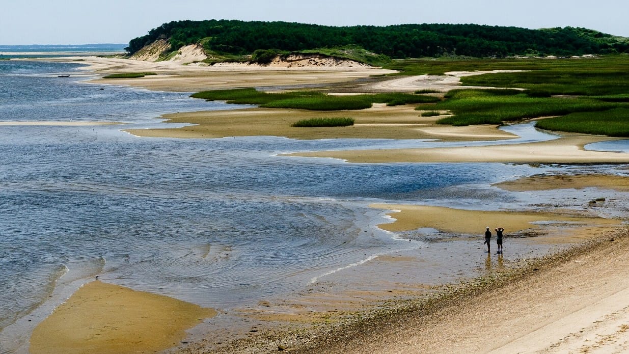 Photograph by Mike Buckley of Great Island Trail in Wellfleet, MA of Cape Cod.